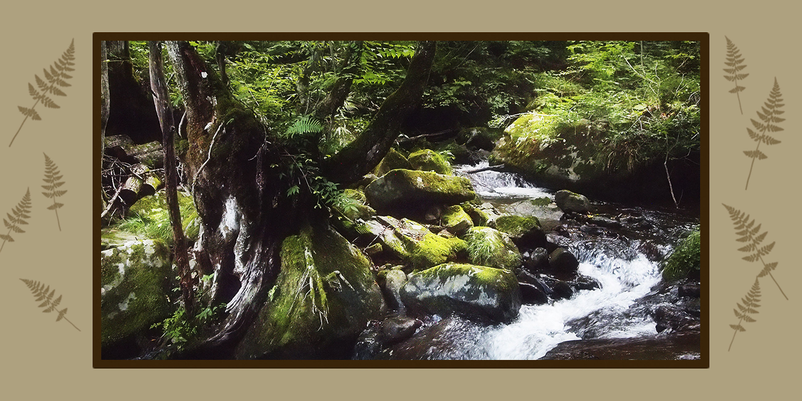 木楽庭 メイン画像